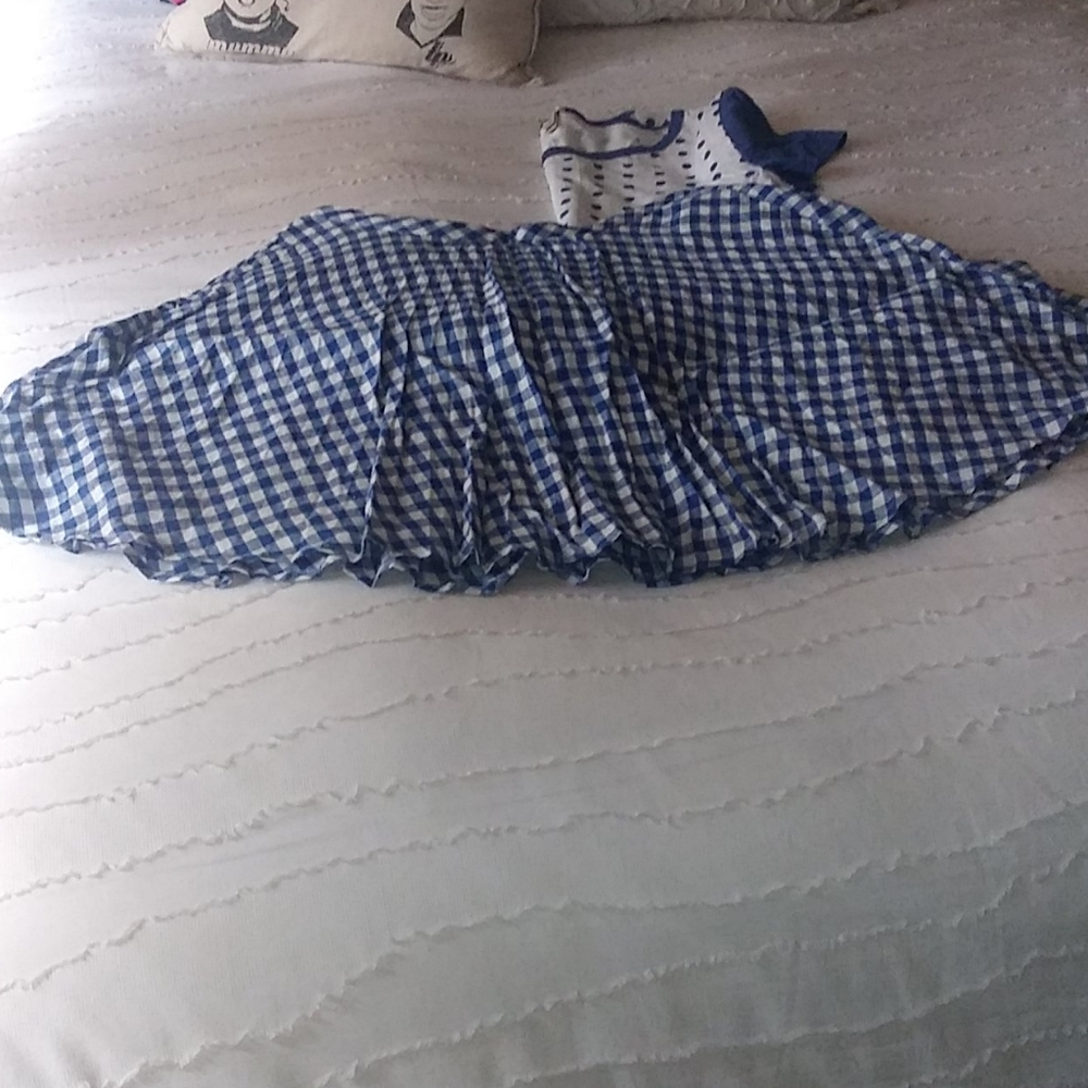 J.Crew Skirt
